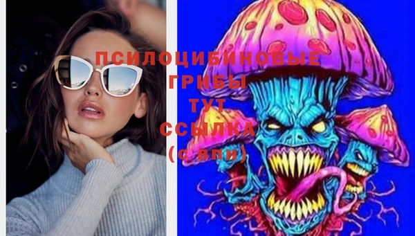 ПСИЛОЦИБИНОВЫЕ ГРИБЫ Нижний Тагил