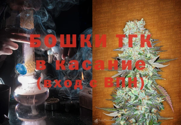 ПСИЛОЦИБИНОВЫЕ ГРИБЫ Липки