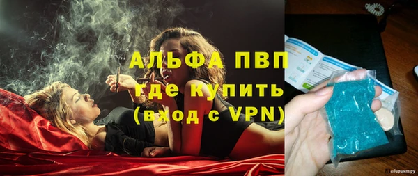 ПСИЛОЦИБИНОВЫЕ ГРИБЫ Липки